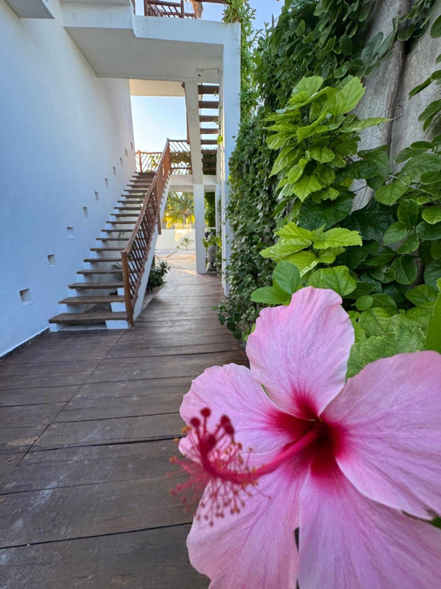 Mexhe Hotel Ел Куйо Екстериор снимка