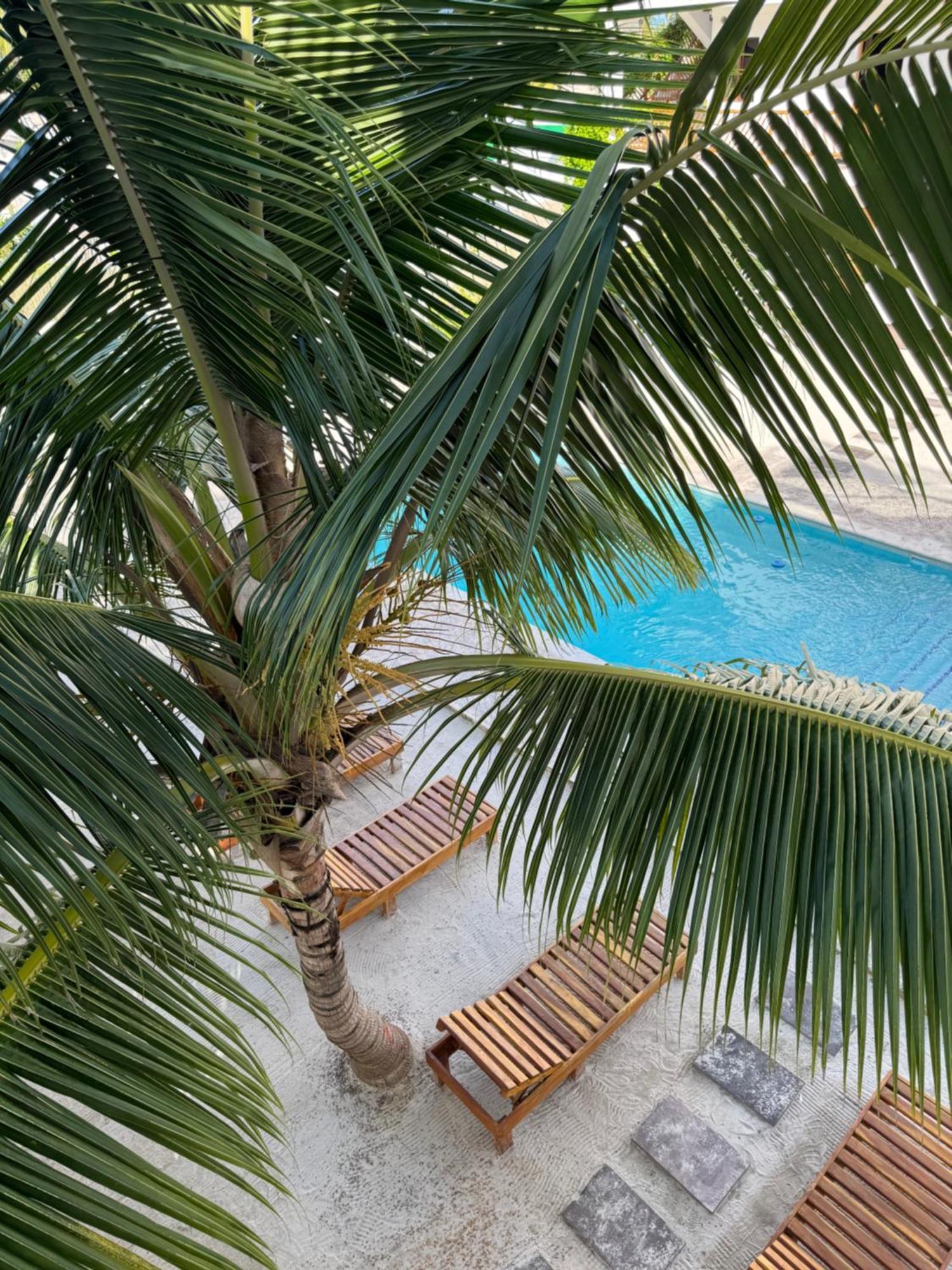 Mexhe Hotel Ел Куйо Екстериор снимка