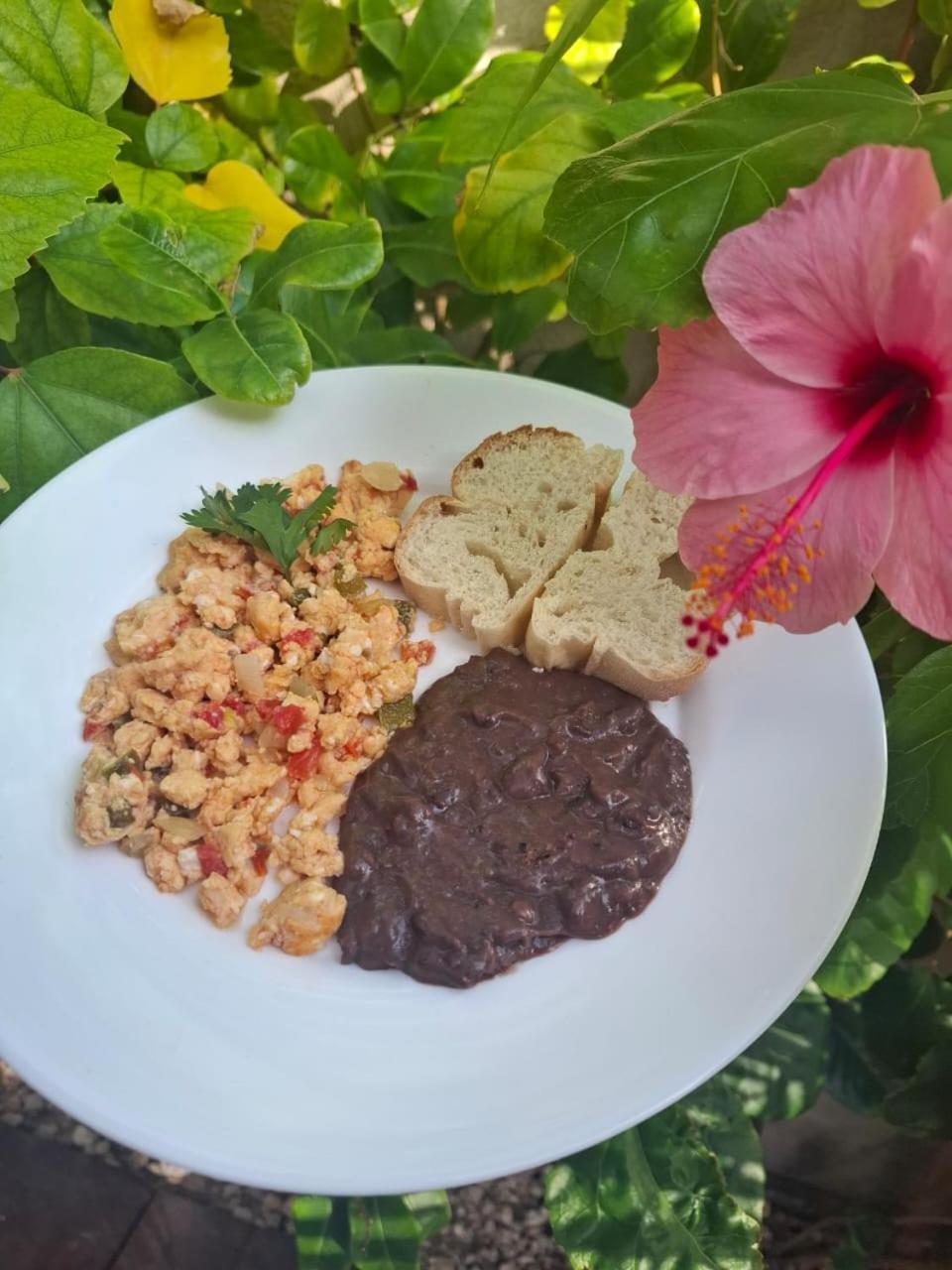 Mexhe Hotel Ел Куйо Екстериор снимка